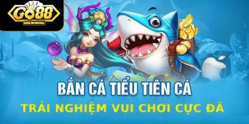 Kinh nghiệm chơi bắn cá tiểu tiên cá hiệu quả nhất 2025
