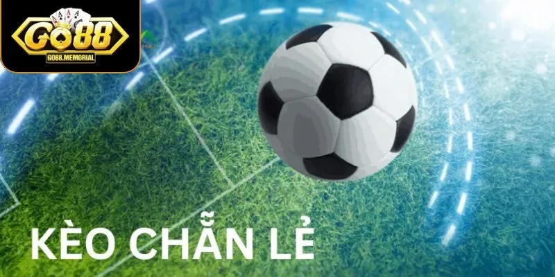 Các loại cá độ chẵn lẻ phổ biến nhất