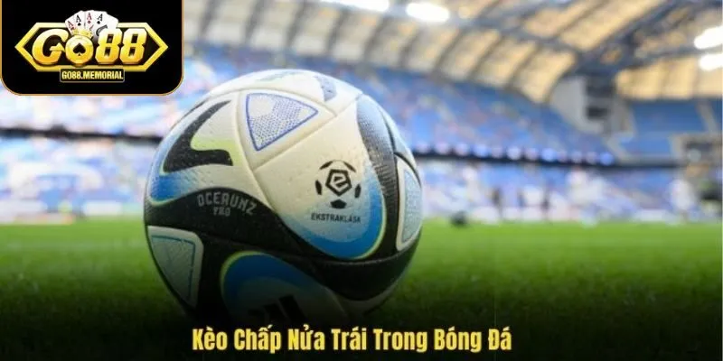 Những lý do kèo cược chấp 0,5 được yêu thích