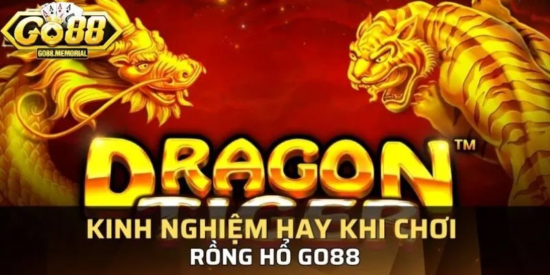 Kinh nghiệm chơi Rồng Hổ chắc chắn thắng