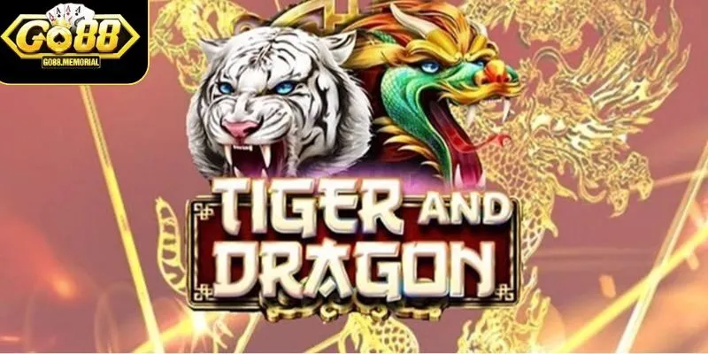 Những lưu ý quan trọng khi áp dụng mẹo chơi Rồng Hổ