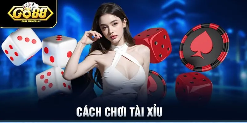Luật chơi tài xỉu cơ bản cho người mới