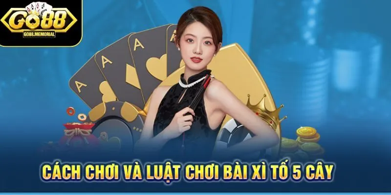 Bí kíp chơi Xì Tố 5 cây giúp đánh bại đối thủ